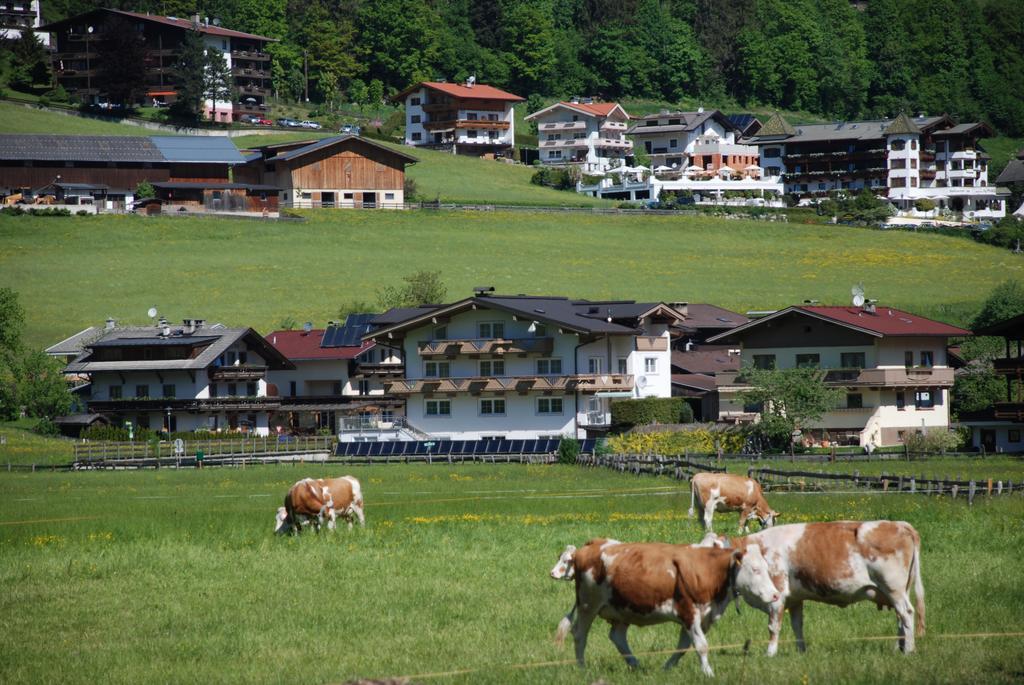 Olympia Mayrhofen